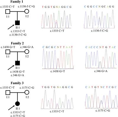 Case report: Identification of three novel compound heterozygous SGLT2 variants in three Chinese pediatric patients with familial renal glucosuria